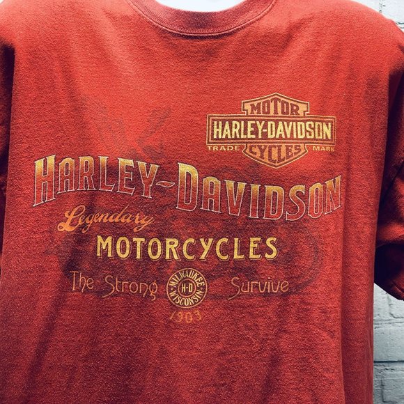Harley Davidson 2XL Rust Brown T-Shirt The Strong Survive Lynnwood / Seattle WA - Picture 2 of 8